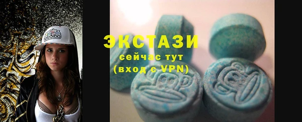 молекула духа Богородицк