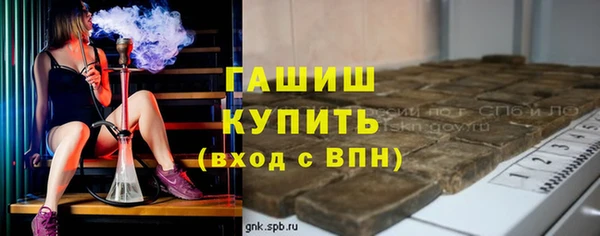 молекула духа Богородицк