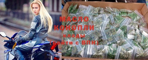 молекула духа Богородицк