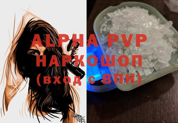 молекула духа Богородицк