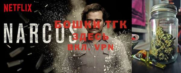 прущий лед Богданович
