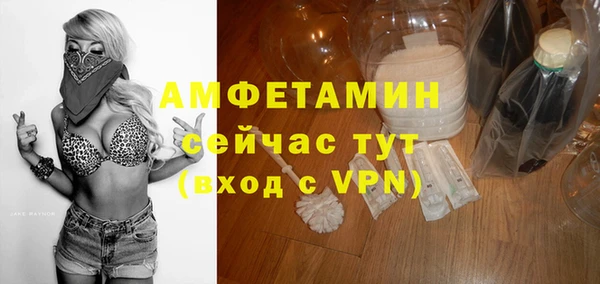 прущий лед Богданович