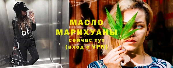 молекула духа Богородицк