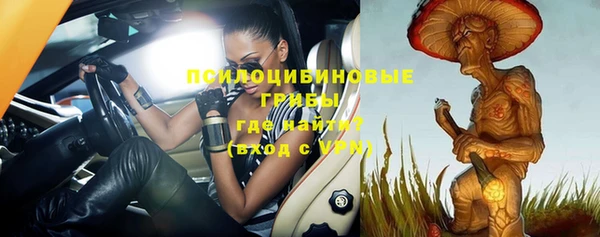молекула духа Богородицк