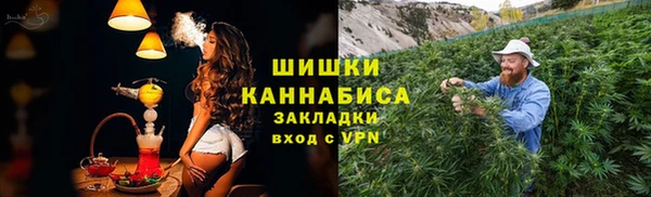 молекула духа Богородицк