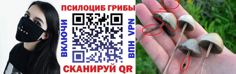 Галлюциногенные грибы Magic Shrooms Екатеринбург