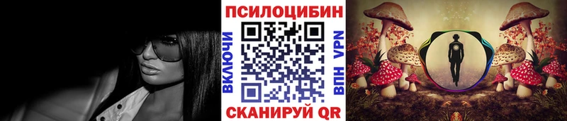 Галлюциногенные грибы MAGIC MUSHROOMS  купить наркоту  Екатеринбург 